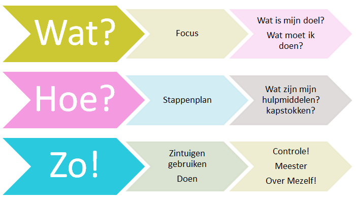 Coaching Stappenplan