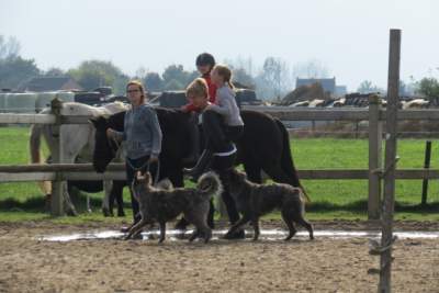 Blog leren moet fijn zijn 3