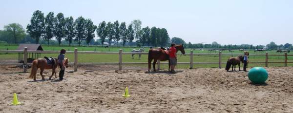 Blog stenen en leren